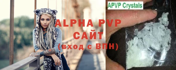 гидра Няндома