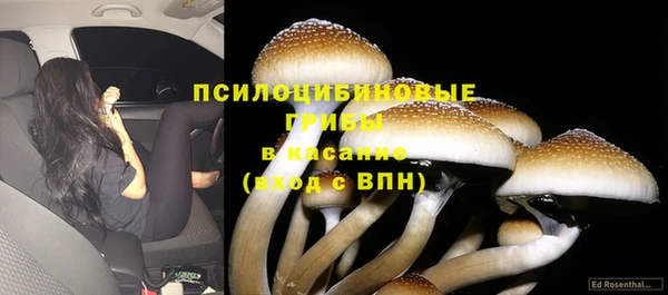 крисы Нягань