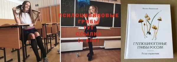 гидра Няндома