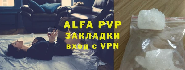 гидра Няндома