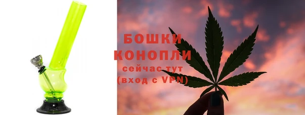 ECSTASY Осинники
