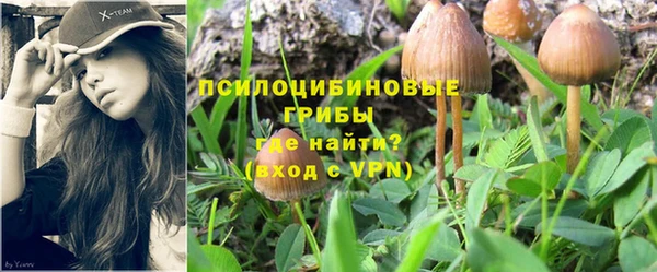 первитин Осташков