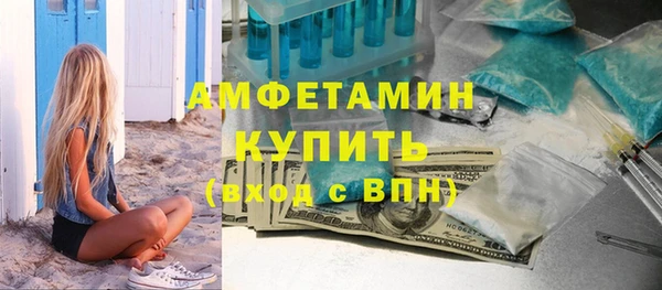 гидра Няндома