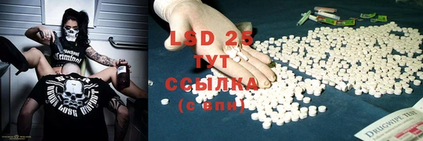 гидра Няндома